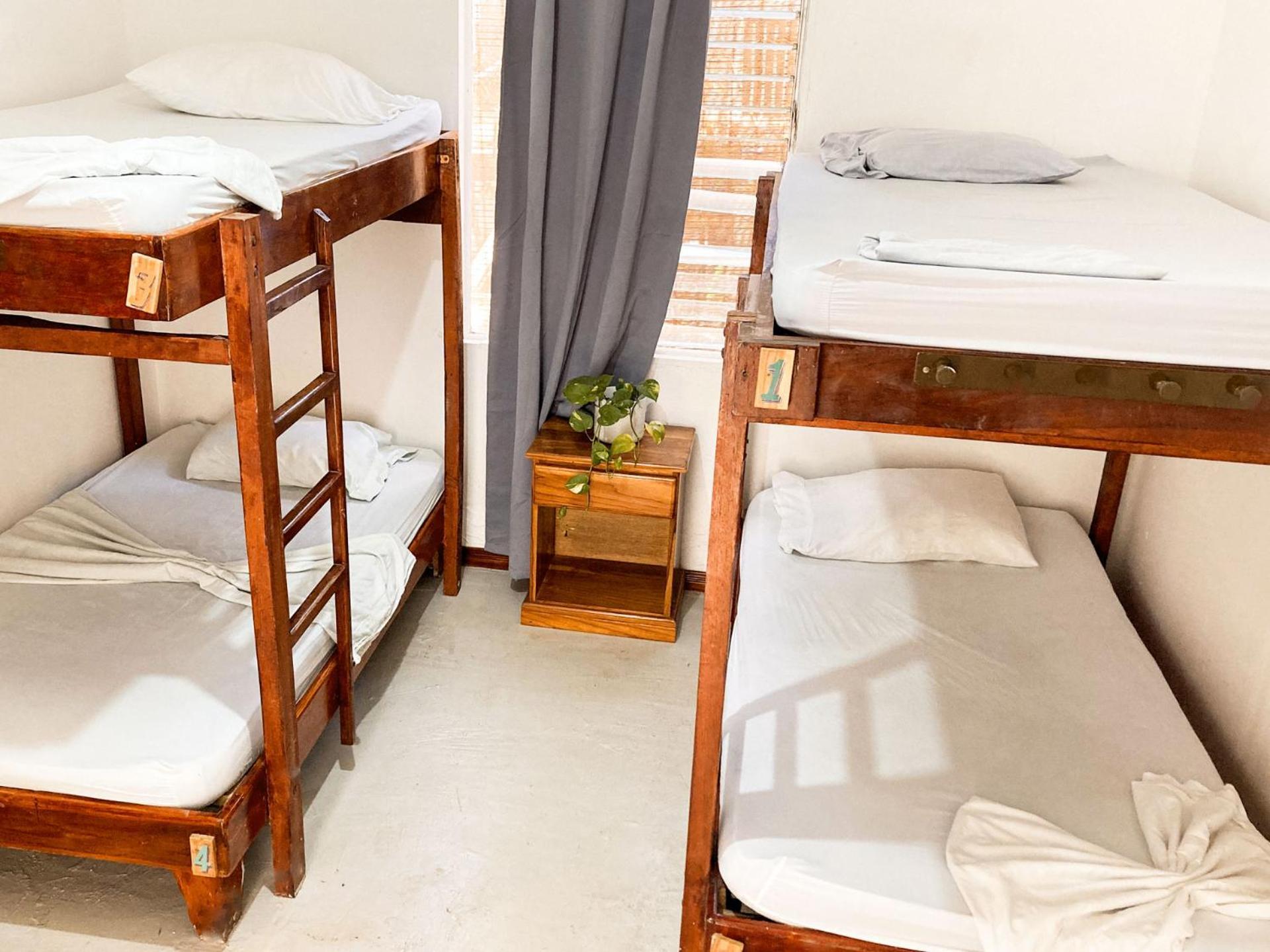 La Posada - Hostel Playa Santa Teresa  Dış mekan fotoğraf